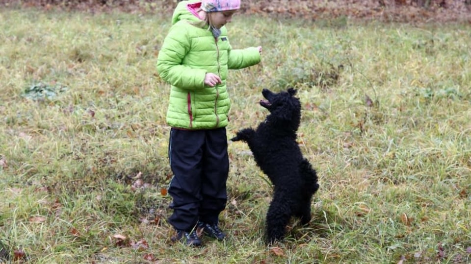Receptář prima nápadů